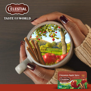 Celestial Seasonings Herbal Kosher, Cinnamon Apple Spice w/Blended Cinnamon, Hibiscus, Chamomile, Roasted Chicory, w/Notes of Chocolate & Butterscotch, Gluten-Free, Caffeine-Free Herbal Tea (Case of 6) 20 Tea Bags