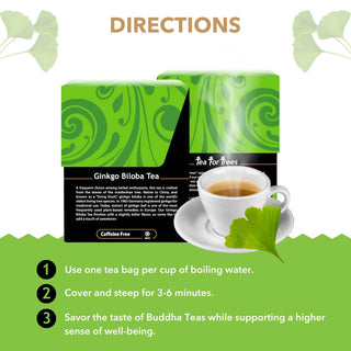 Buddha Teas Organic Herbal Kosher Absolute Ginkgo Biloba w/Herbal Supplements, Vitamin C, for Cognitive Balance & Overall Health Gluten-Free, GMO-Free, Naturally de Caffeine Free Herbal Tea (Case of 6) 18 Tea Bags