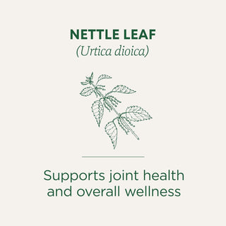 Traditional Medicinals Organic Herbal Kosher Nettle Leaf w/Stinging Nettle Leaf, Naturally Caffeine-Free Herbal Tea (Case of 6) 16 Tea Bags