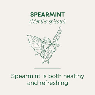 Traditional Medicinals Organic Herbal Kosher Spearmint w/Herbal Supplements, Spearmint Leaf GMO-Free, Fair-Trade, Naturally Caffeine-Free Herbal Tea (Case of 6) 16 Tea Bags