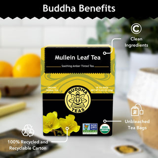 Buddha Teas EU Organic 100% Kosher Herbal, Mullein Leaf w/Fresh Certified Organic Herbs, Antioxidants, Minerals & Vitamin C, for Health & Wellbeing, Bleach Free, Dioxin Free , Plant, Non-GMO Caffeine-Free Herbal Tea (Case of 6) 18 Tea Bags