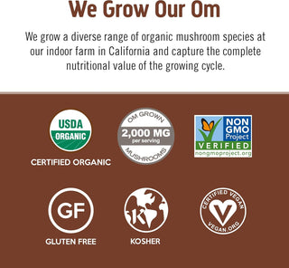 OM Mushroom Superfood Organic Kosher Mushroom Blend, 100% Arabica Beans, Functional Mushrooms: Lion's Mane, Cordyceps, Turkey Tail w/Ginkgo Biloba, Supports Energy & Focus Coffee Powder (Case of 10) 6.24oz Canister.