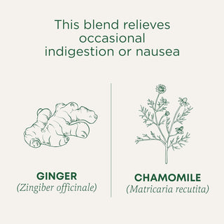 Traditional Medicinals Organic Herbal Kosher Golden Ginger w/Chamomile Flower Fair-Trade GMO-Free Caffeine-Free Herbal Tea (Case of 6) 16 Tea Bags