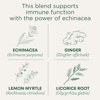 Traditional Medicinals Organic Herbal Immune Zoom, Ginger Lemon, Ginger Spice, Mild Spice, Non-GMO, Echinacea, Caffeine-Free Herbal Tea (Case of 6) 16 Tea Bags