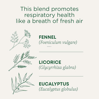Traditional Medicinals Organic Herbal Kosher Breathe Easy, w/Eucalyptus Leaf, Fennel Fruit, Ginger Rhizome, Peppermint Leaf & Magnolia Flower, GMO-Free, Caffeine-Free Herbal Tea (Case of 6) 16 Tea Bags