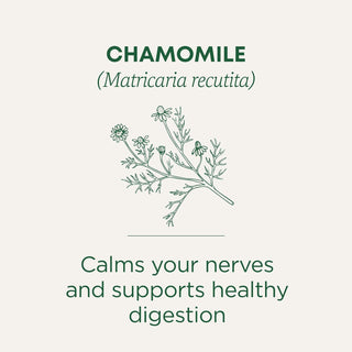 Traditional Medicinals Organic Herbal Kosher Chamomile w/Chamomile Flower, GMO-Free +Gluten-Free, Fair-Trade Caffeine-Free Herbal Tea (Case of 6) 16 Tea Bags