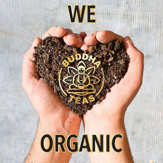 Buddha Teas Organic Kosher Herbal Milk Thistle w/Milk Thistle Seed, Milk Thistle Leaf, GMO-Free, Bleach-Free Caffeinated Herbal Tea (Case of 6) 18 Tea Bags