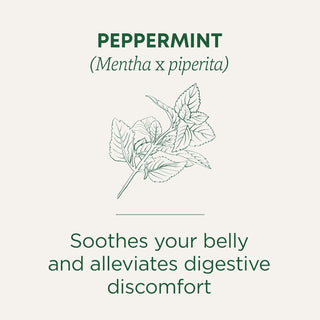 Traditional Medicinals Organic Herbal Kosher Peppermint non-GMO, Naturally Caffeine-Free Herbal Tea (Case of 6) 16 Tea Bags