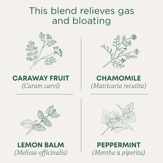 Traditional Medicinals Organic Herbal Kosher w/Caraway Fruit, Coriander Fruit, Chamomile Flower, Lemon Balm Leaf & Peppermint Leaf, Gas Relief Caffeine Herbal Tea (Case of 6) 16 Tea Bags