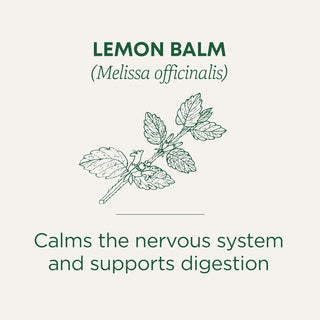 Traditional Medicinals Organic Kosher Herbal Lemon Balm Naturally, Non-GMO Verified. Kosher. Caffeine Free. Certified B Corp. Compostable Tea Bags, Caffeine-Free GMO-Free, Herbal Tea (Case of 6) 16 Tea Bags