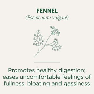 Traditional Medicinals Organic Herbal Kosher w/Herbal Supplements Fennel w/Fennel Fruit, GMO-Free, Promotes Healthy Digestion Naturally Caffeine-Free Herbal Tea (Case of 6) 16 Tea Bags