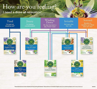 Traditional Medicinals Organic Herbal Kosher Chamomile w/Chamomile Flower, GMO-Free +Gluten-Free, Fair-Trade Caffeine-Free Herbal Tea (Case of 6) 16 Tea Bags
