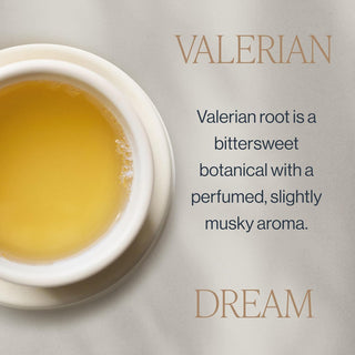 Rishi Organic Kosher Herbal Valerian Dream w/Cardamom, Valerian Root, Fennel Seed, Rose Petals, Licorice Root, Dairy-Free Caffeine-Free, Herbal Tea (Case of 6) 15 Tea Bags