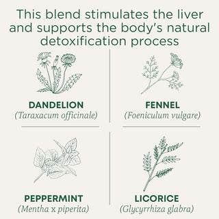 Traditional Medicinals Organic Herbal Kosher Everyday Detox w/Chicory Root, Schisandra Berry, Dandelion Root, Lycium Fruit & Kukicha Twig, GMO-Free, Naturally Caffeinated Herbal Tea (Case of 6) 16 Tea Bags