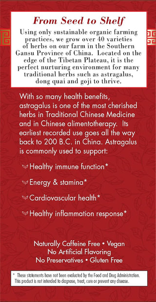 Bravo Teas Herbal Absolute Ginkgo Biloba w/Herbal Supplements, Gluten-Free, GMO-Free, Naturally Caffeine-Free Green Tea (Pack of 1) 20 Tea Bags