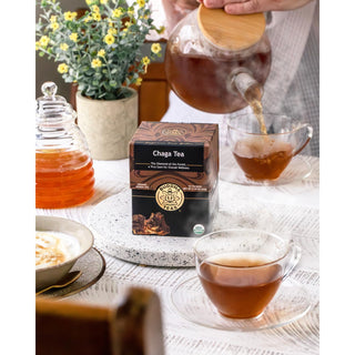 Buddha Teas - Organic Herbal Kosher, Chaga Mushroom Dairy-Free, GMO-Free, Wheat-Free, Yeast-Free Herbal Mushroom Tea (Case of 6) 18 Tea Bags