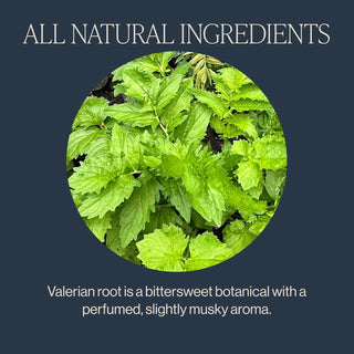Rishi Organic Kosher Herbal Valerian Dream w/Cardamom, Valerian Root, Fennel Seed, Rose Petals, Licorice Root, Dairy-Free Caffeine-Free, Herbal Tea (Case of 6) 15 Tea Bags