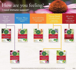 Traditional Medicinals Organic Herbal Kosher Echinacea Plus w/Herbal Supplements, Echinacea Roots, Gluten-Free, GMO-Free, Caffeine-Free Herbal Tea (Case of 6) 16 Tea Bags