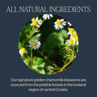 Rishi Organic Herbal Kosher "Chamomile Medley" Blended Infused w/Lemongrass, Lemon Verbena & Spearmint, GMO-Free, Dairy-Free Caffeine-Free  Herbal Tea (Case of 6) 15 Tea Bags