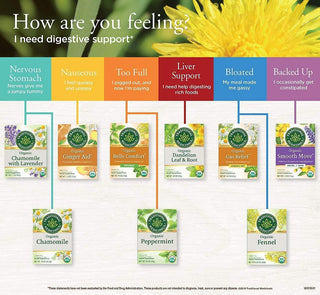 Traditional Medicinals Organic Herbal Kosher Chamomile w/Chamomile Flower, GMO-Free +Gluten-Free, Fair-Trade Caffeine-Free Herbal Tea (Case of 6) 16 Tea Bags