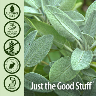 Nature's Answer Organic Sage w/Cold Bio-Chelated® Proprietary Extraction & Holistically Balanced, Authentic Botanical Fingerprint, 100% Pure w/No Synthetic Colors or Stabilizers, Gluten-Free, non-GMO, Yeast-Free, Alcohol-Free Extract (Pack of 1) 1.0oz Jar