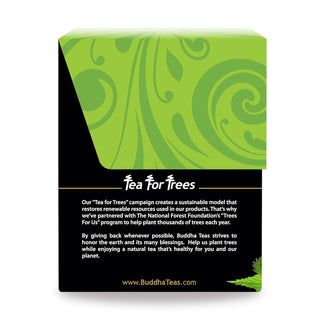 Buddha Teas Organic Herbal Kosher Nettle Leaf, GMO-Free, Caffeine Herbal Tea (Case of 6) 18 Tea Bags