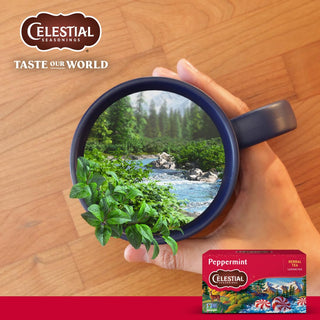 Celestial Seasonings Herbal Kosher Peppermint Gluten-Free GMO-Free Caffeine-Free Herbal Tea (Case of 6) 20 Tea Bags