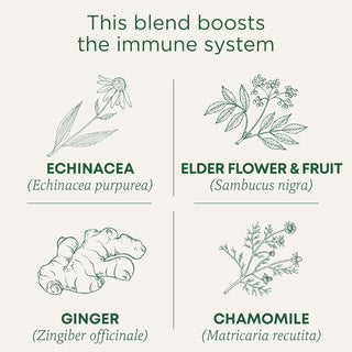Traditional Medicinals Organic Herbal Kosher Echinacea Plus w/Elderberry Non-GMO, Fair-Trade, Caffeine-Free Herbal Tea (Case of 6) 16 Tea Bags