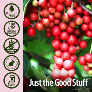 Nature's Answer Organic Kosher Schisandra Berry w/Natural Stress & Fatigue Support, 100% Pure w/No Synthetic Colors or Stabilizers, to Rejuvenate & Energize Gluten-Free, non-GMO, Yeast-Free, Alcohol-Free Extract (Pack- 1) Fl Oz Bottle