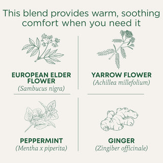Traditional Medicinals Organic Herbal Kosher "Herbal Cold Care" w/Elderflower, Yarrow Flower & Peppermint Leaf, GMO-Free Caffeine-Free Herbal Tea (Case of 6) 16 Tea Bags