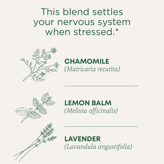 Traditional Medicinals Organic Herbal Kosher Chamomile w/Lavender, Herbal Supplements, GMO-Free, Fair-Trade, Naturally Caffeine-Free Herbal Tea (Case of 6) 16 Tea Bags