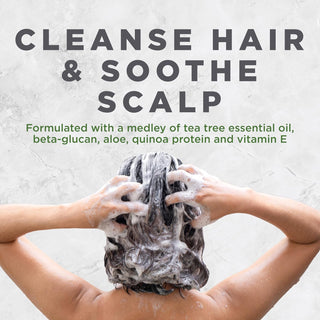 Avalon Organics Scalp Treatment Tea Tree Shampoo, Encourages Scalp, Dandruff-Free, Cruelty-Free, Vegan, Well-Being & Leaves Hair Soft, 32 Fluid (Pack of 1) 32oz Bottle