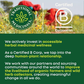 Traditional Medicinals Organic Kosher Herbal Lemon Balm Naturally, Non-GMO Verified. Kosher. Caffeine Free. Certified B Corp. Compostable Tea Bags, Caffeine-Free GMO-Free, Herbal Tea (Case of 6) 16 Tea Bags
