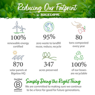 Bigelow Tea Herbal Premium Classic Plus Lemon Ginger w/Probiotic BC-30, Lemongrass, Lemon Peel, Lemon Verbena, Rosehip, Cinnamon Green Tea (Case of 6) 18 Caffeine-Free Tea Bags