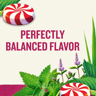 Celestial Seasonings Herbal Kosher Peppermint Gluten-Free GMO-Free Caffeine-Free Herbal Tea (Case of 6) 20 Tea Bags