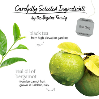Bigelow Tea Kosher Earl Grey w/Blended Real Oil of Bergamot, Distinctive Citrus-Flavor GMO-Free, Gluten-Free, Caffeinated Black Tea (Case of 6) 20 Tea Bags
