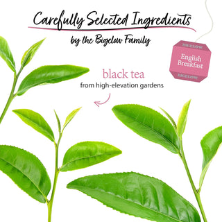 Bigelow Tea Kosher English Breakfast Black w/Carefully Selected & Handpicked Tea Leaves, GMO-Free, All Natural Black Tea (Case of 6) 20 Tea Bags