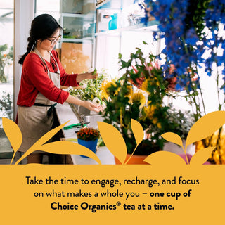Choice USDA Organic Certified, Kosher Certified, Mandarin Ginger w/Rooibos, Spicy & Floral Notes, Dairy-Free, GMO-Free, Wheat-Free, Yeast-Free, Vegan, Gluten-Free, Caffeine-Free Herbal Tea (Case of 6) 16 Tea Bags