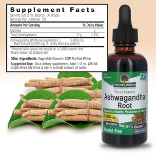 Nature's Answer Organic Kosher Herbal Ashwagandha Root AF-2000mg, Maintain Healthy Immune Function, Supports Body Against Stress, Gluten-Free, Alcohol-Free & Vegan, Dietary Supplement Extract (Pack of 1) 2oz Bottle