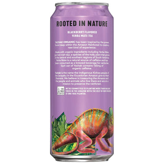 Yachak Organic Yerba Mate Blackberry Plant-Based Energy w/Yerba Mate Extract, Cane Sugar, Passionfruit Concentrate, Non-GMO Project Certified, Gluten Free Fair-Trade Caffeinated Green Tea (Case of 12)16oz Cans