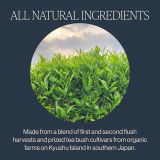 Rishi Organic Sencha w/Savory-Sweet Flavor & Bright Green Infusion Dairy-Free, GMO-Free & Caffeinated Green Tea (Case of 6) 15 Tea Bags