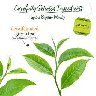 Bigelow Tea Kosher Antioxidants Premium Classic Gluten-Free, GMO-Free, Decaffeinated Green Tea (Case of 6) 20 Tea Bags