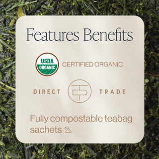 Rishi Organic Sencha w/Savory-Sweet Flavor & Bright Green Infusion Dairy-Free, GMO-Free & Caffeinated Green Tea (Case of 6) 15 Tea Bags