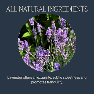 Rishi Organic Kosher Lavender Mint w/Peppermint, Licorice, Lavender, Sage, GMO-Free, Dairy-Free Caffeinated Herbal Tea (Case of 6) 15 Tea Bags