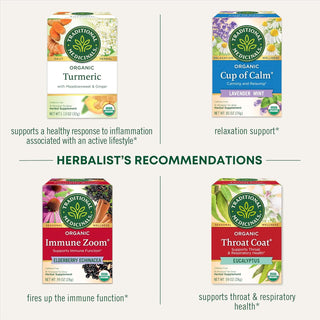 Traditional Medicinals Organic Kosher Herbal  Reishi Mushroom w/Rooibos, Orange Peel GMO-Free Caffeinated Herbal Tea (Case of 6) 16 Tea Bags
