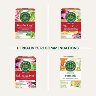 Traditional Medicinals Organic Herbal Kosher Echinacea Plus w/Elderberry Non-GMO, Fair-Trade, Caffeine-Free Herbal Tea (Case of 6) 16 Tea Bags