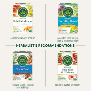 Traditional Medicinals Organic Herbal Kosher Nettle Leaf w/Stinging Nettle Leaf, Naturally Caffeine-Free Herbal Tea (Case of 6) 16 Tea Bags