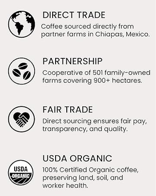 Pop & Bottle, Oat Milk Lattes - Organic Matcha w/Functional Mushrooms Reishi & Maitake MCT Oil, Organic, Dairy Free, Gluten Free, Lightly Sweetened w/Dates, Fair-Trade Caffeinated Green Tea Latte (Pack of 12) 8oz Can