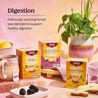 Yogi Organic Herbal Kosher 100% Natural Tea Lemon Ginger w/Ginger Root, Lemongrass, Licorice Root, Peppermint Leaf, Non-GMO, Caffeine-Free Herbal Tea (Case Of 6) 16 Tea Bags