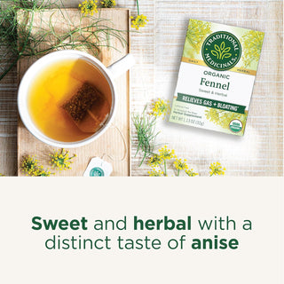 Traditional Medicinals Organic Herbal Kosher w/Herbal Supplements Fennel w/Fennel Fruit, GMO-Free, Promotes Healthy Digestion Naturally Caffeine-Free Herbal Tea (Case of 6) 16 Tea Bags